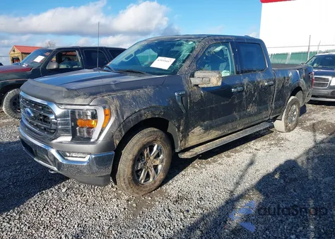2021 Ford F-150 Xlt z USA, uszkodzony, nr VIN 1FTFW1ED2MFC60347